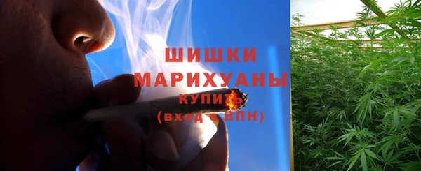 дмт Медвежьегорск