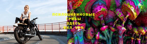 apvp Медногорск
