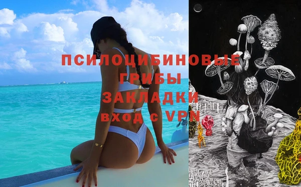дмт Медвежьегорск