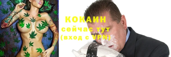 apvp Медногорск