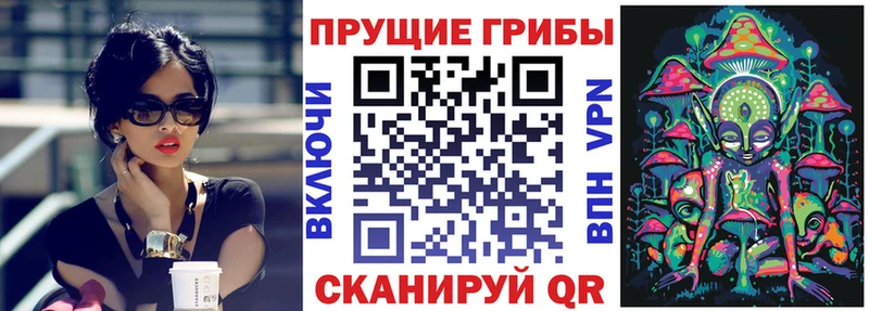нарко площадка как зайти  Екатеринбург  Псилоцибиновые грибы MAGIC MUSHROOMS 